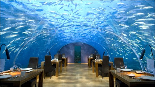 mlehici_conrad_maldives_restaurant_ithaa.jpg
